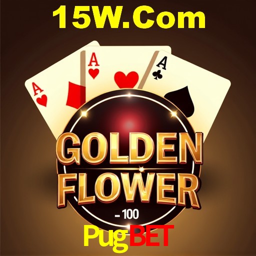 Programa VIP Pugbet